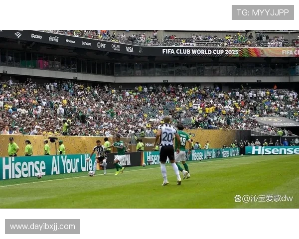 保利尼奥加时绝杀！帕尔梅拉斯 1-0 博塔弗戈晋级八强